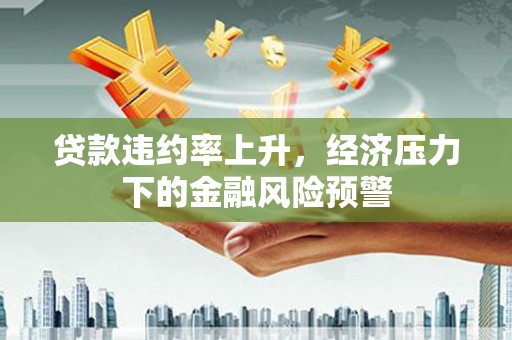 双溪贷款违约率上升，经济压力下的金融风险预警