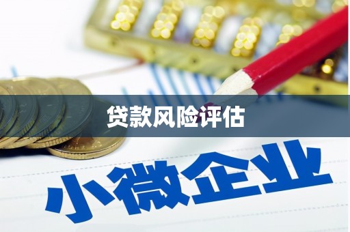 双溪贷款风险评估