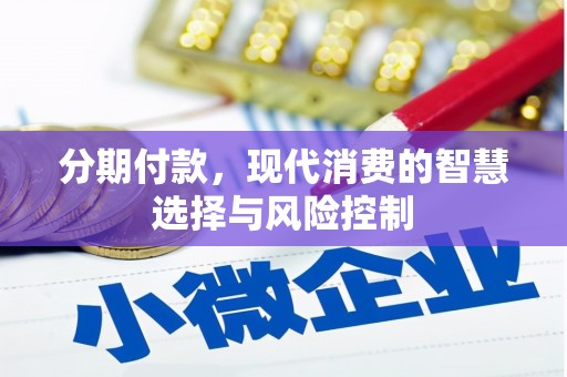 双溪分期付款，现代消费的智慧选择与风险控制