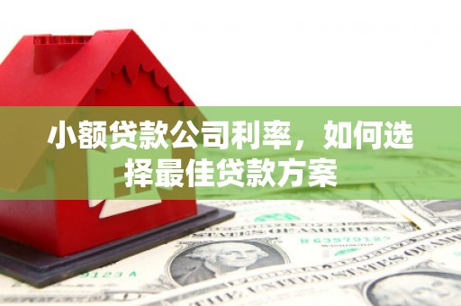 双溪小额贷款公司利率，如何选择最佳贷款方案