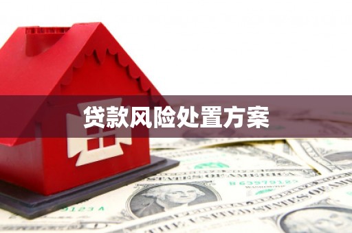 双溪贷款风险处置方案