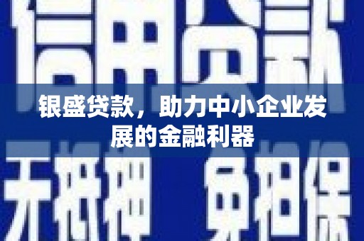 双溪银盛贷款，助力中小企业发展的金融利器