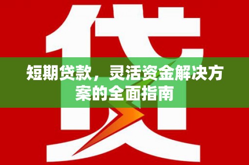 双溪短期贷款，灵活资金解决方案的全面指南