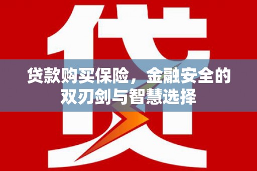 双溪贷款购买保险，金融安全的双刃剑与智慧选择