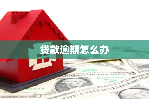 双溪贷款逾期怎么办