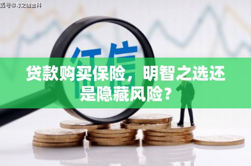 双溪贷款购买保险，明智之选还是隐藏风险？