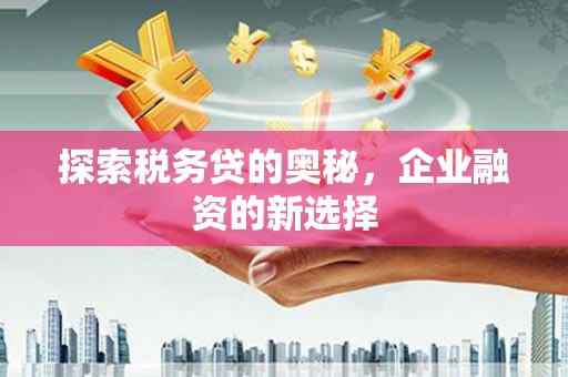双溪探索税务贷的奥秘，企业融资的新选择