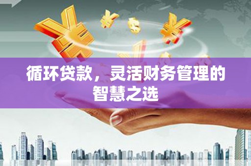 双溪循环贷款，灵活财务管理的智慧之选