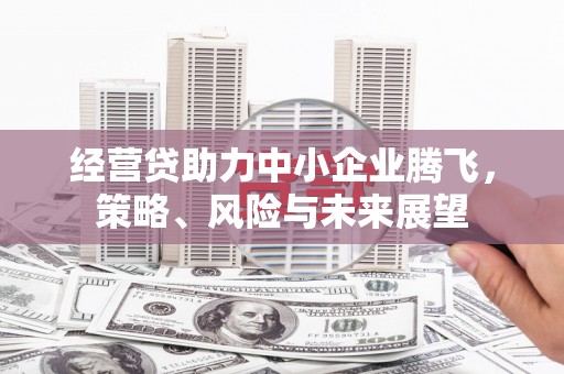 双溪经营贷助力中小企业腾飞，策略、风险与未来展望