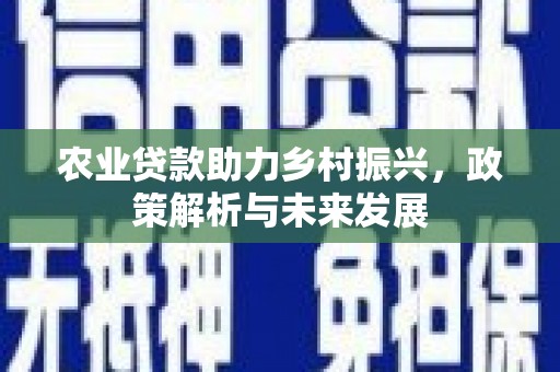 双溪农业贷款助力乡村振兴，政策解析与未来发展