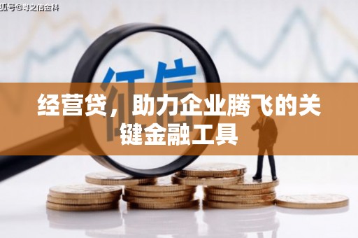 双溪经营贷，助力企业腾飞的关键金融工具