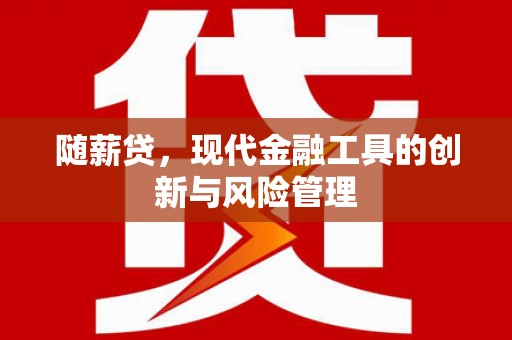 双溪随薪贷，现代金融工具的创新与风险管理