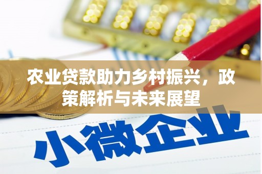 双溪农业贷款助力乡村振兴，政策解析与未来展望
