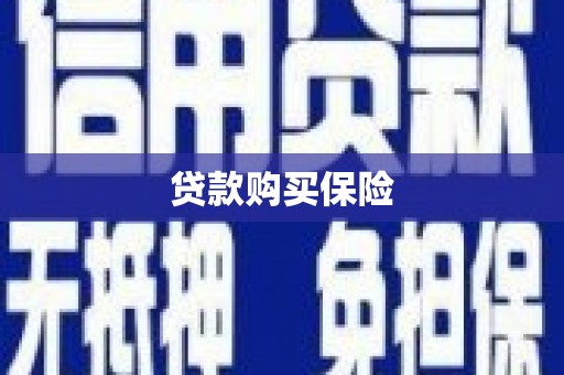 双溪贷款购买保险