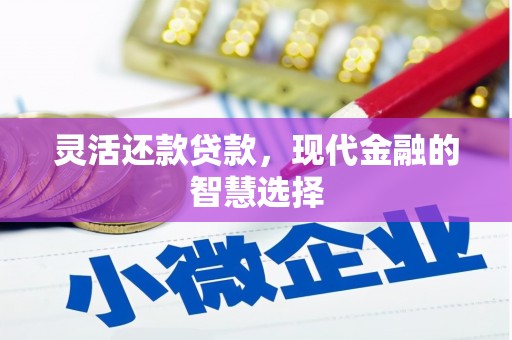 双溪灵活还款贷款，现代金融的智慧选择