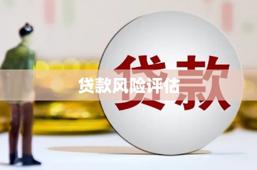 双溪贷款风险评估