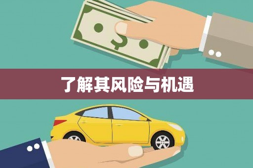 双溪了解其风险与机遇