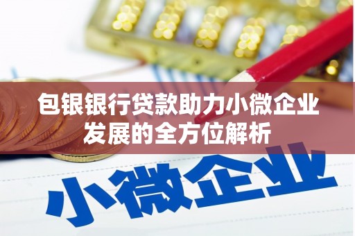 双溪包银银行贷款助力小微企业发展的全方位解析 双溪包银银行贷款助力小微企业发展的全方位解析