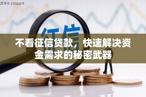双溪不看征信贷款，快速解决资金需求的秘密武器