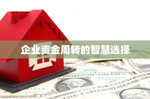双溪企业资金周转的智慧选择