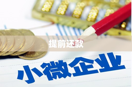 双溪提前还款