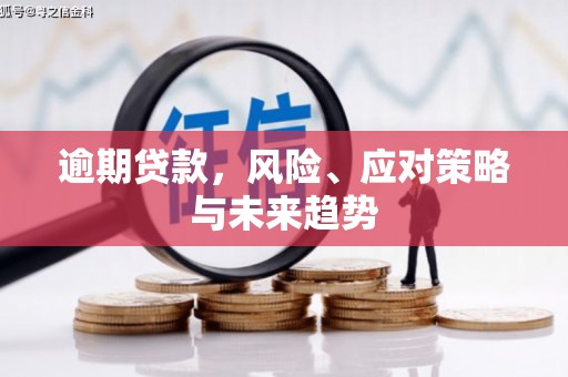 双溪逾期贷款，风险、应对策略与未来趋势