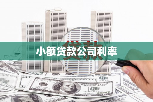 双溪小额贷款公司利率