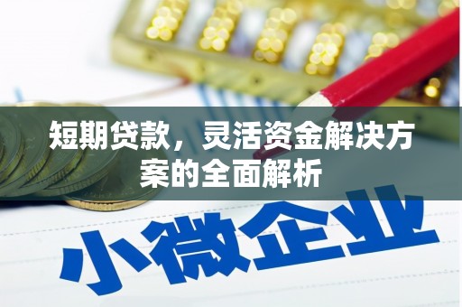 双溪短期贷款，灵活资金解决方案的全面解析