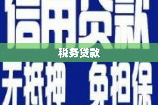 双溪税务贷款