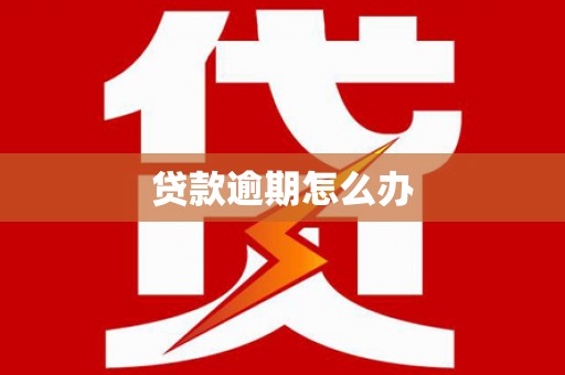 双溪贷款逾期怎么办