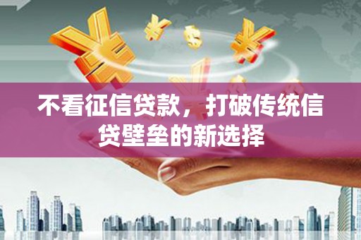 双溪不看征信贷款，打破传统信贷壁垒的新选择