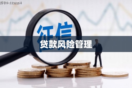 双溪贷款风险管理
