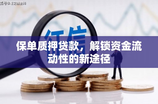 双溪保单质押贷款，解锁资金流动性的新途径