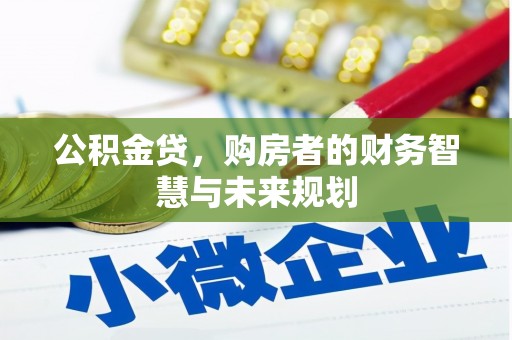 双溪公积金贷，购房者的财务智慧与未来规划