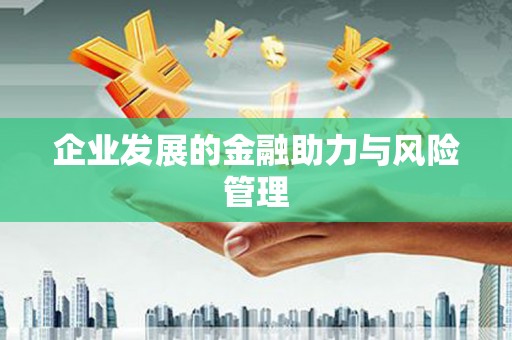 双溪企业发展的金融助力与风险管理
