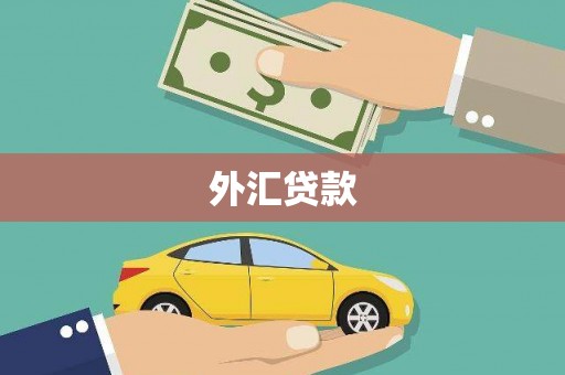 双溪外汇贷款