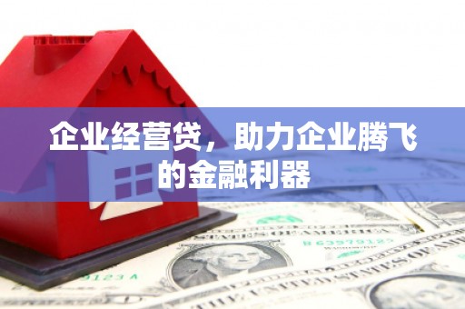 双溪企业经营贷，助力企业腾飞的金融利器