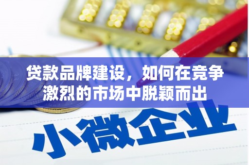 双溪贷款品牌建设，如何在竞争激烈的市场中脱颖而出