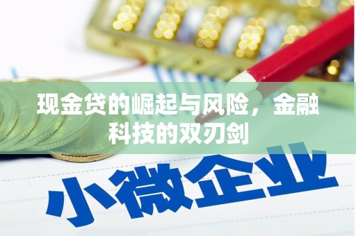 双溪现金贷的崛起与风险，金融科技的双刃剑