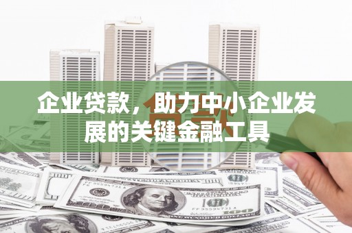 双溪企业贷款，助力中小企业发展的关键金融工具