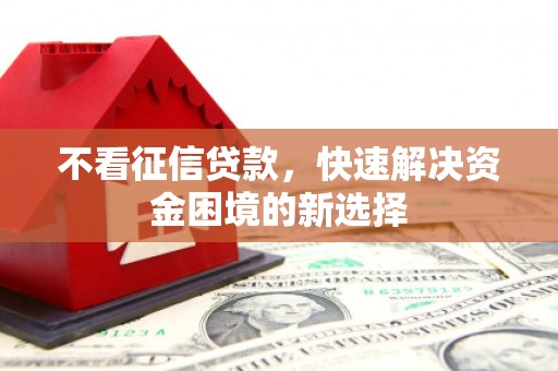 双溪不看征信贷款，快速解决资金困境的新选择