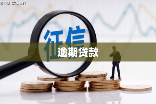 双溪逾期贷款