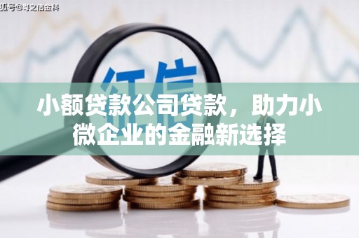 双溪小额贷款公司贷款，助力小微企业的金融新选择