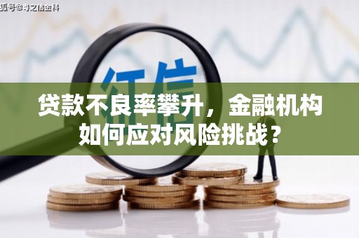 双溪贷款不良率攀升，金融机构如何应对风险挑战？