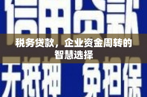 双溪税务贷款，企业资金周转的智慧选择
