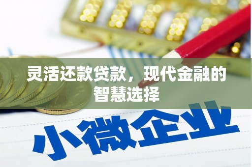 双溪灵活还款贷款，现代金融的智慧选择