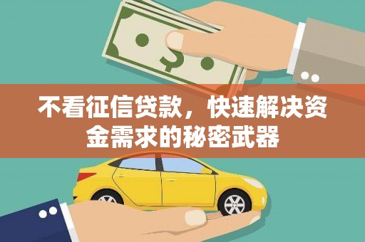 双溪不看征信贷款，快速解决资金需求的秘密武器