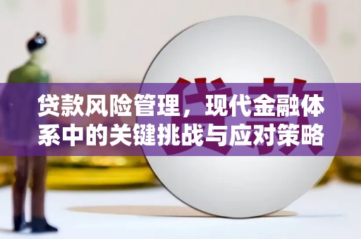 双溪贷款风险管理，现代金融体系中的关键挑战与应对策略