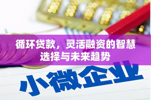 双溪循环贷款，灵活融资的智慧选择与未来趋势