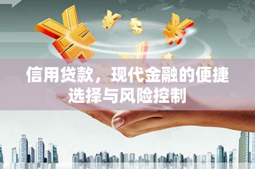双溪信用贷款，现代金融的便捷选择与风险控制